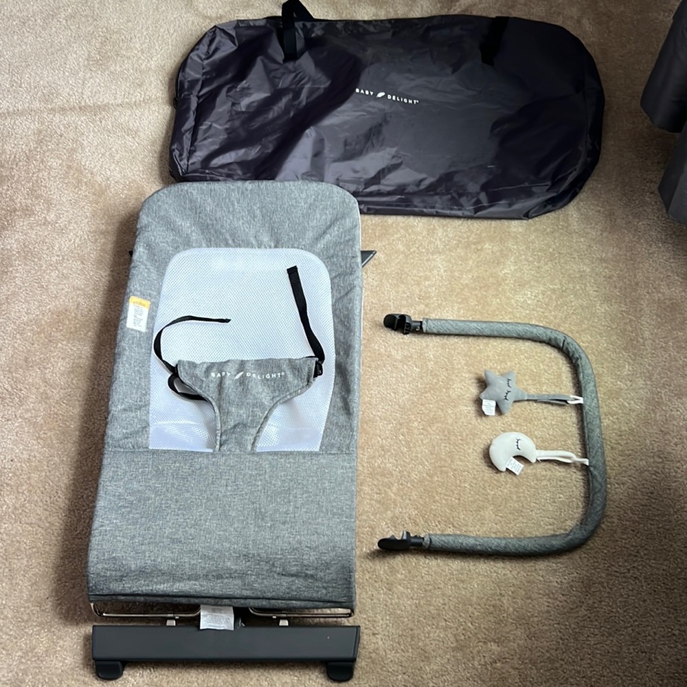 Baby Delight Alpine Deluxe Portable Bouncer